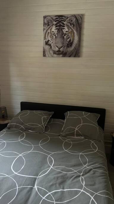 Magnifique Appartement T2 Le Barcarès Exterior foto